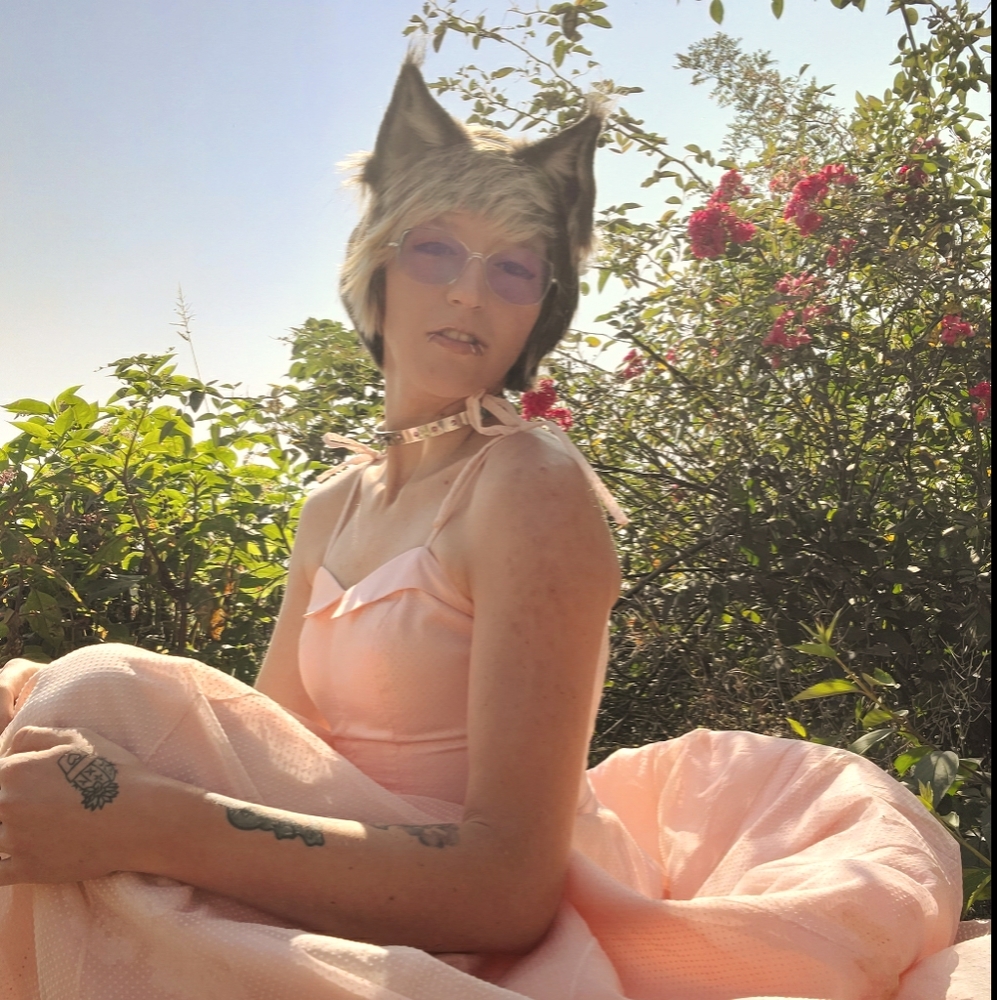 Meet your Posher, Monet